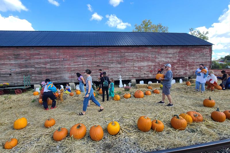 Visitors browsing pumpkins in front of the Ohio Railway Museum's historic train barn during Pumpkin Patch Express